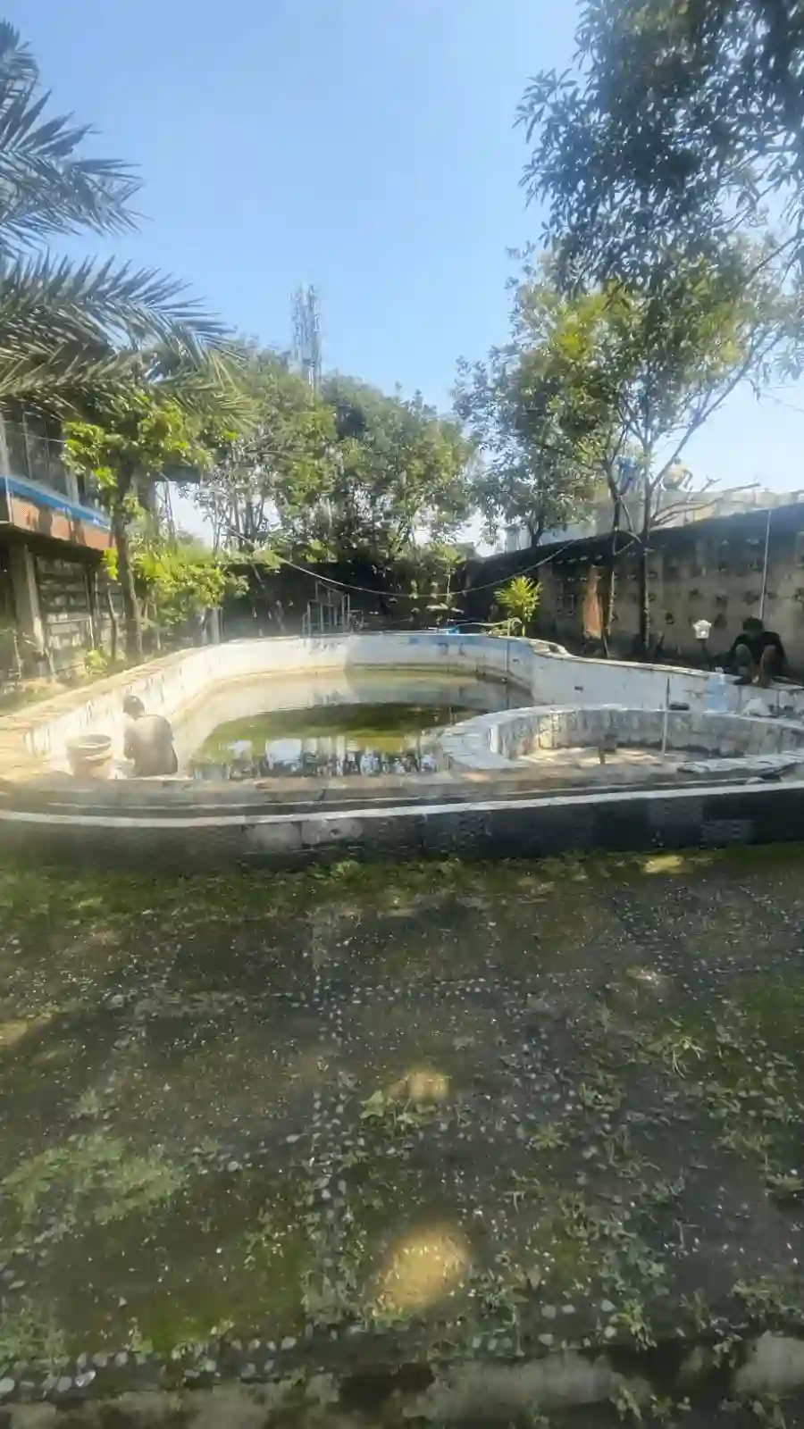 Resort Infinity Pool